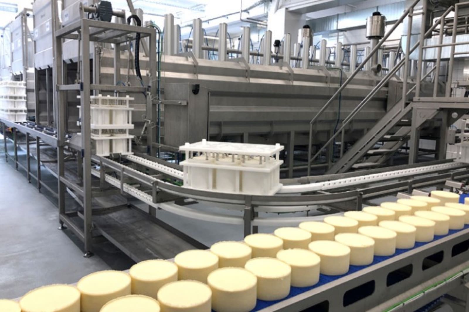 Rounds of cheese moving along a conveyor beside stainless steel processing equipment